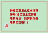 种植灵芝怎么煮水泡茶好喝(让灵芝水变得美味的方法：如何制作美味的灵芝茶？)