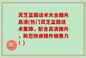 灵芝盆栽话术大全图片高清(热门灵芝盆栽话术集锦，配合高清图片，助您快速提升销售力！)