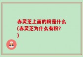 赤灵芝上面的粉是什么(赤灵芝为什么有粉？)