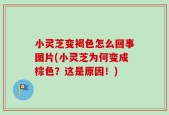 小灵芝变褐色怎么回事图片(小灵芝为何变成棕色？这是原因！)