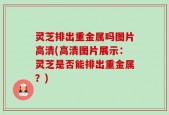 灵芝排出重金属吗图片高清(高清图片展示：灵芝是否能排出重金属？)