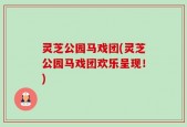 灵芝公园马戏团(灵芝公园马戏团欢乐呈现！)