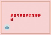 黑色与黄色的灵芝哪种好