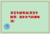 灵芝牛脚煲汤(灵芝牛脚煲：滋补补气的美味汤)