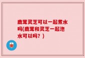 鹿茸灵芝可以一起煮水吗(鹿茸和灵芝一起泡水可以吗？)