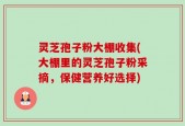灵芝孢子粉大棚收集(大棚里的灵芝孢子粉采摘，保健营养好选择)