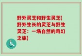 野外灵芝和野生灵芝(野外生长的灵芝与野生灵芝：一场自然的奇幻之旅)