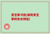 灵芝草习性(探究灵芝草的生长特征)