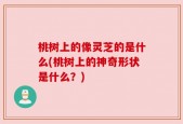 桃树上的像灵芝的是什么(桃树上的神奇形状是什么？)
