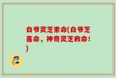 白爷灵芝索命(白爷芝喜命，神奇灵芝救命！)