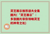 灵芝展示推荐语大全集图片(“灵芝展示”：多张图片带你领略灵芝的神奇之处)
