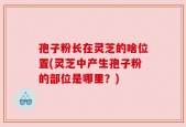 孢子粉长在灵芝的啥位置(灵芝中产生孢子粉的部位是哪里？)