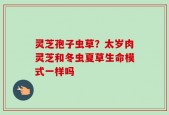 灵芝孢子虫草？太岁肉灵芝和冬虫夏草生命模式一样吗