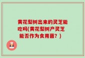 黄花梨树出来的灵芝能吃吗(黄花梨树产灵芝 能否作为食用菌？)