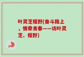 叶灵芝程野(奋斗路上，情牵青春——访叶灵芝、程野)