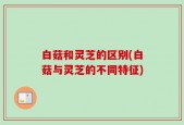白菇和灵芝的区别(白菇与灵芝的不同特征)