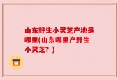 山东野生小灵芝产地是哪里(山东哪里产野生小灵芝？)