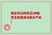 现在可以种灵芝(种植灵芝有望成为新兴产业)
