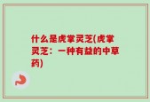 什么是虎掌灵芝(虎掌灵芝：一种有益的中草药)