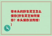 带木头的野生灵芝怎么保存(野生灵芝如何保存？木头保存法传授！)