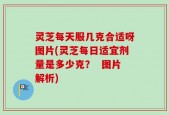 灵芝每天服几克合适呀图片(灵芝每日适宜剂量是多少克？  图片解析)