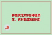 种植灵芝农村(种植灵芝，农村致富新途径)