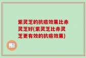 紫灵芝的抗癌效果比赤灵芝好(紫灵芝比赤灵芝更有效的抗癌效果)