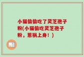 小猫偷偷吃了灵芝孢子粉(小猫偷吃灵芝孢子粉，惹祸上身！)
