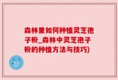 森林里如何种植灵芝孢子粉_森林中灵芝孢子粉的种植方法与技巧)