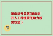 肇庆封开灵芝(肇庆封开人工种植灵芝助力脱贫攻坚 )
