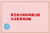灵芝孢子粉的采集过程与注意事项详解