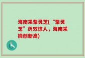 海南采紫灵芝(“紫灵芝”药效惊人，海南采摘创新高)
