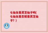七仙女是灵芝仙子吗(七仙女是否就是灵芝仙子？)