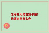 怎样养大灵芝孢子菌？头屑太多怎么办