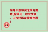 领导干部徐灵芝简介图片(徐灵芝：职业生涯、工作经历及荣誉回顾)