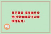 灵芝盆景 摆件图片欣赏(欣赏精美灵芝盆景摆件照片)