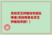 贵阳灵芝种植培养园在哪里(贵阳哪里有灵芝种植培养园？)