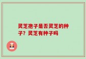 灵芝孢子是否灵芝的种子？灵芝有种子吗