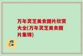 万年灵芝美食图片欣赏大全(万年灵芝美食图片集锦)