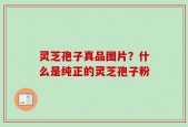 灵芝孢子真品图片？什么是纯正的灵芝孢子粉