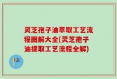 灵芝孢子油萃取工艺流程图解大全(灵芝孢子油提取工艺流程全解)