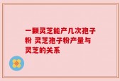 一颗灵芝能产几次孢子粉 灵芝孢子粉产量与灵芝的关系