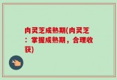 肉灵芝成熟期(肉灵芝：掌握成熟期，合理收获)