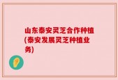山东泰安灵芝合作种植(泰安发展灵芝种植业务)