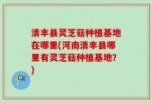 清丰县灵芝菇种植基地在哪里(河南清丰县哪里有灵芝菇种植基地？)