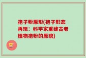 孢子粉原形(孢子形态再现：科学家重建古老植物孢粉的原貌)