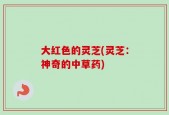大红色的灵芝(灵芝：神奇的中草药)