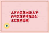 太岁肉灵芝水缸(太岁肉与灵芝的神奇结合：水缸里的宝藏)