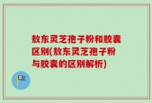 敖东灵芝孢子粉和胶囊区别(敖东灵芝孢子粉与胶囊的区别解析)