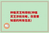 种植灵芝所得税(种植灵芝涉税攻略，你需要知道的所有信息)